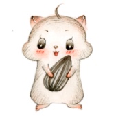 小灰的头像