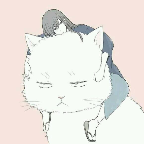 心海的猫的头像